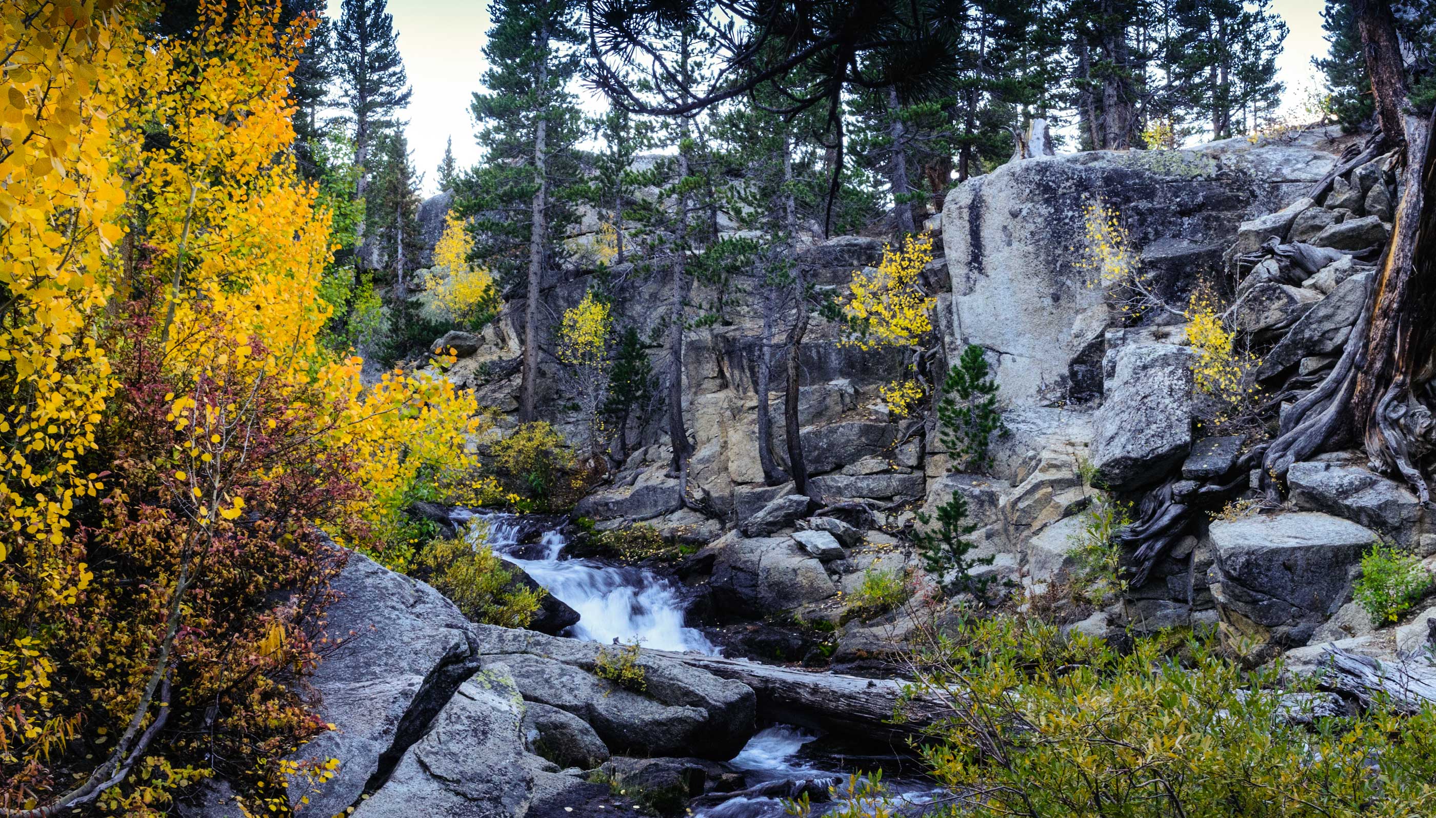 California-Nevada Drought & Climate Outlook Webinar | Drought.gov