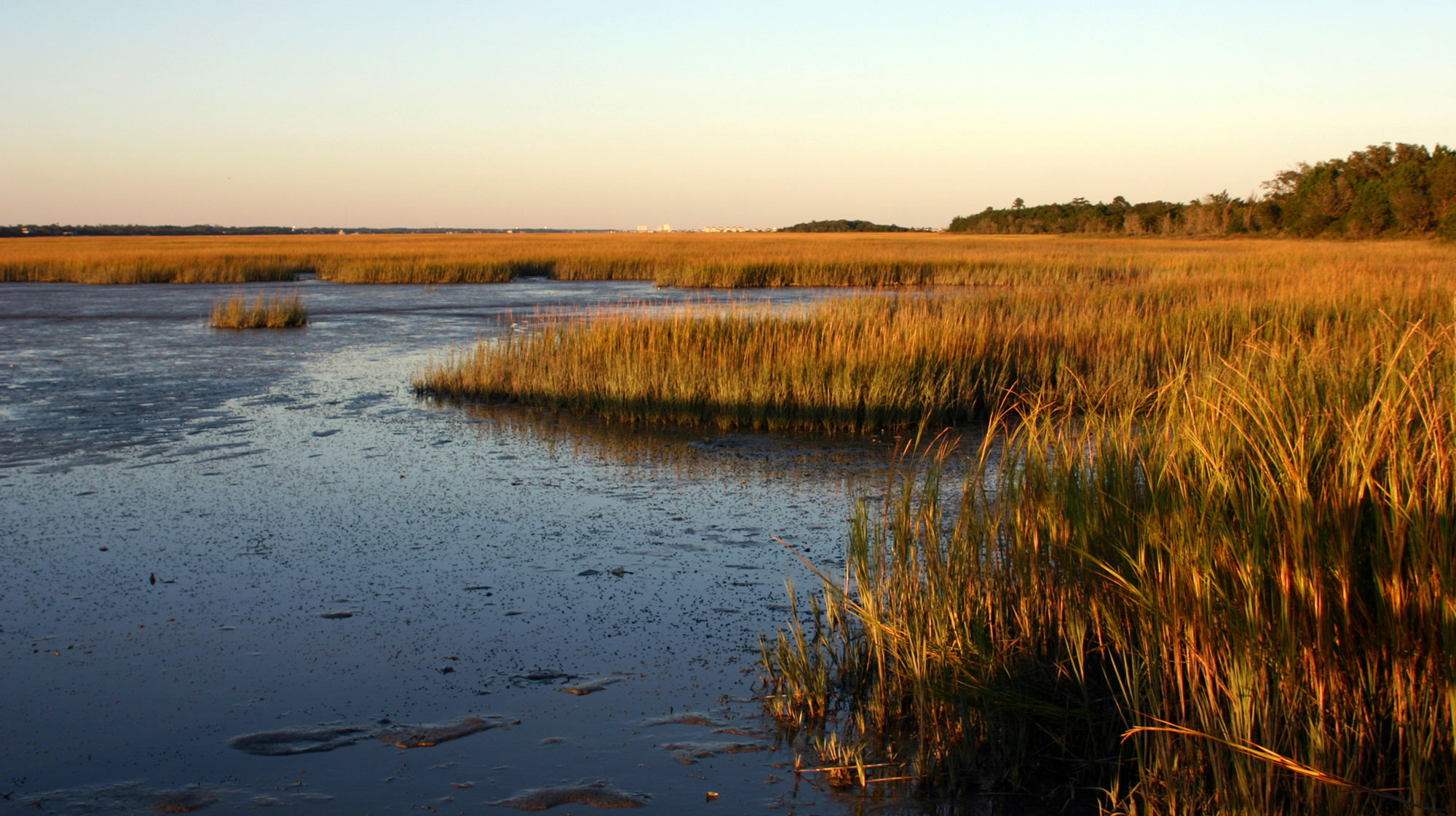 Southeast Climate Monthly Webinar April 13 2021 Drought Gov   Dews Southeast Webinar Hero 1 