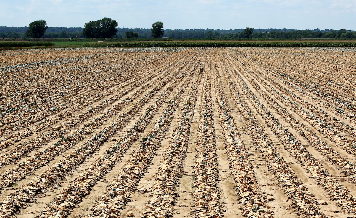 North Central U.S. Climate and Drought Summary and Outlook Webinar ...