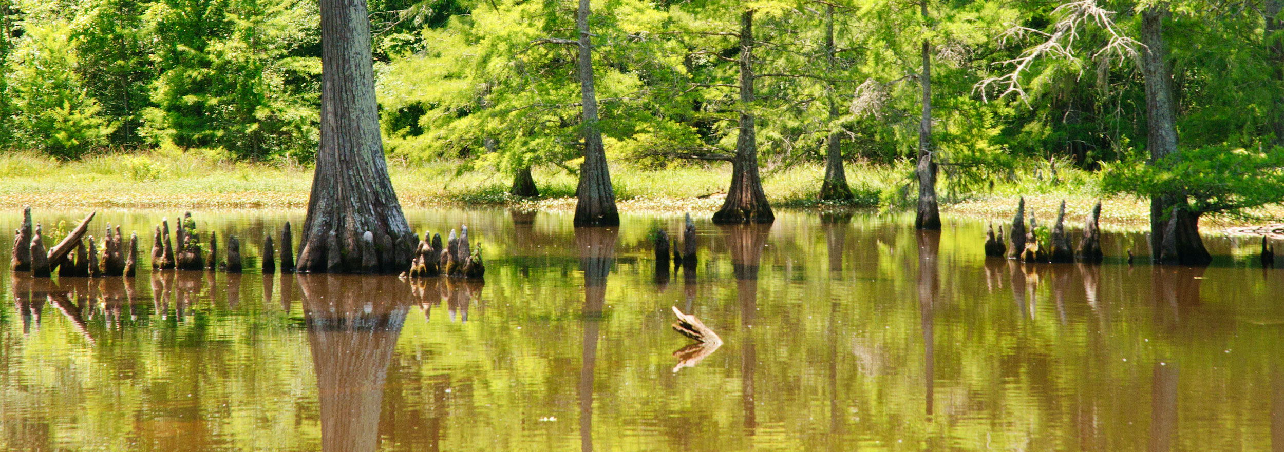 Mississippi | Drought.gov