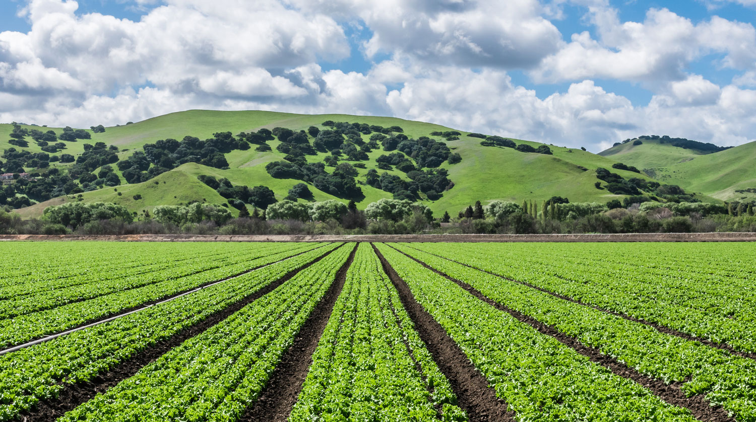 New Research To Better Represent Agricultural Drought 