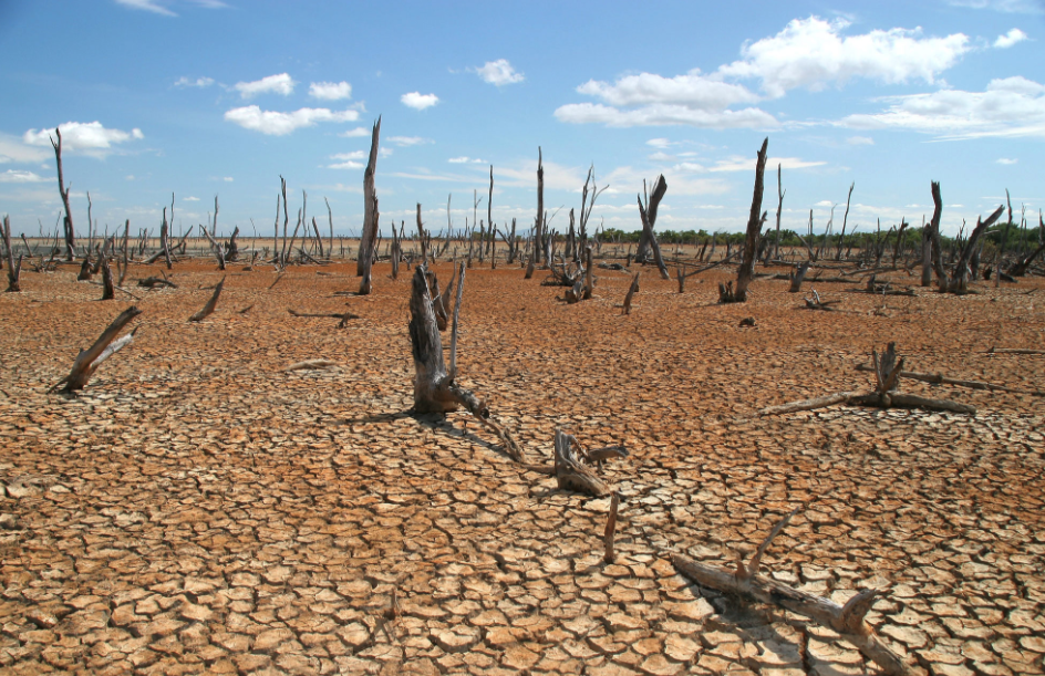 Throwback Thursday: Texas Story Map Recalling State's Historic Drought ...