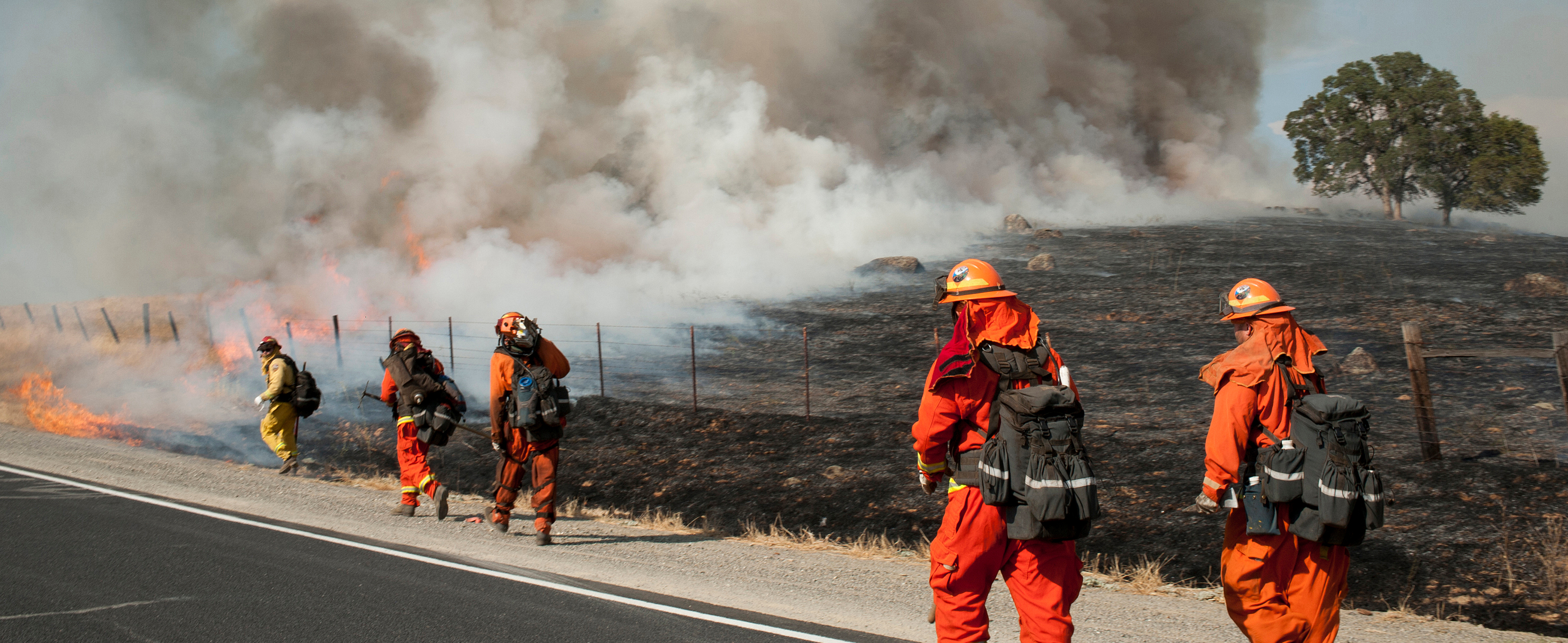 Partner Webinar Series: Integrating Public Health into Forest and Fire  Management — Association for Fire Ecology