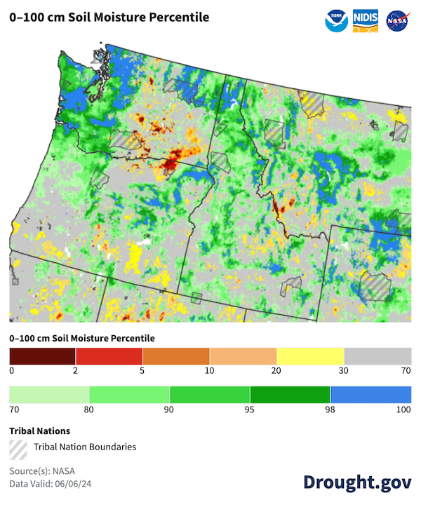 0-100 cm soil moisture across western Washington, eastern Oregon, and most of Idaho as of June 6, 2024, was in the 70th or greater percentile compared to historical conditions. Soil moisture was much below the 30th percentile across portions of southeastern Washington and southern Oregon. 