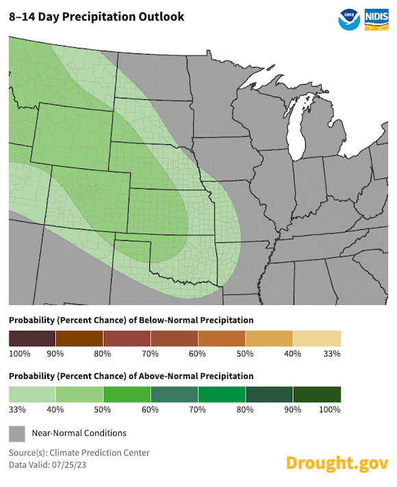 Above-normal rainfall is more likely in the Plains from August 2-8, with near-normal rainfall elsewhere.