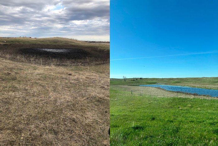 Left, a photo of a dry pond on April 15, 2024 in Eddy County, North Dakota. Right, a photo of a pond with water on May 20, 2024 in McLean County, North Dakota. 