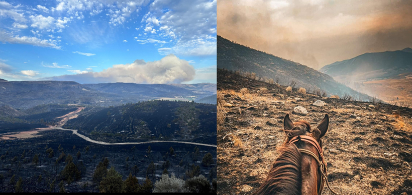 Area burned by the Cow Valley Fire in Morrow County, Oregon and by a rangeland fire in Okanogan County, Washington.