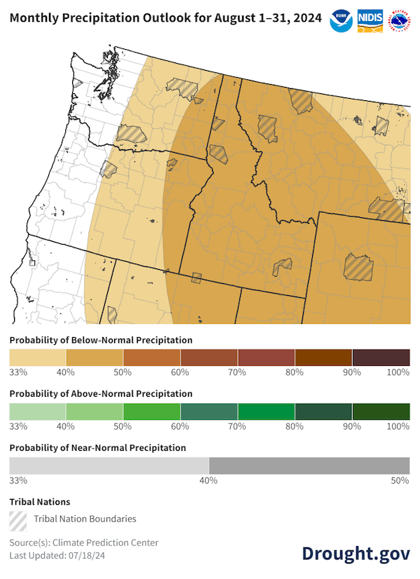 Most of the region has a 33-50% chance of below-normal precipitation during August 2024.