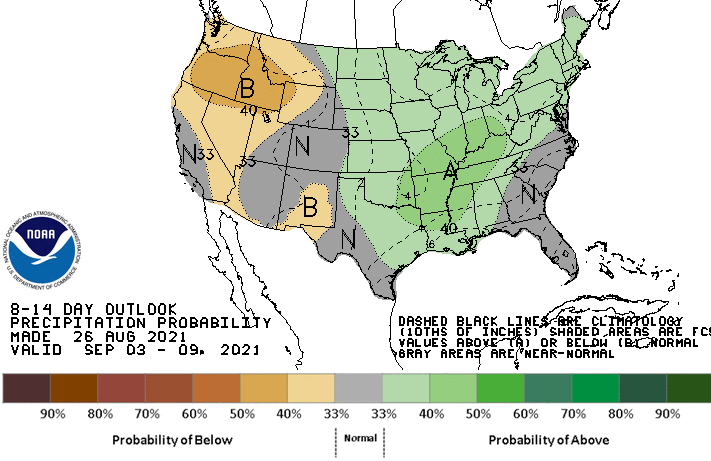Climate Predication Center 8-14 day precipitation outlook, valid September 3-9, 2021. Odds favor above-normal precipitation across much of the north central U.S.
