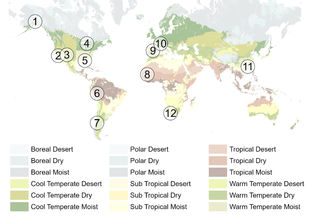 World map showing different ecoregions, with numbered spots representing 12 locations where drought has caused a significant and permanent change in ecosystem composition. 