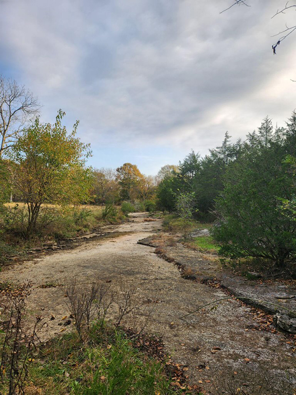 A dry creek bed sits between forest and a field. There is no water in the creek, only mud and dried leaves. 