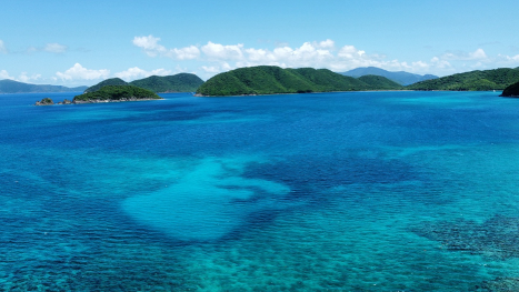 Esta foto muestra las islas de St. John con vegetación verde.