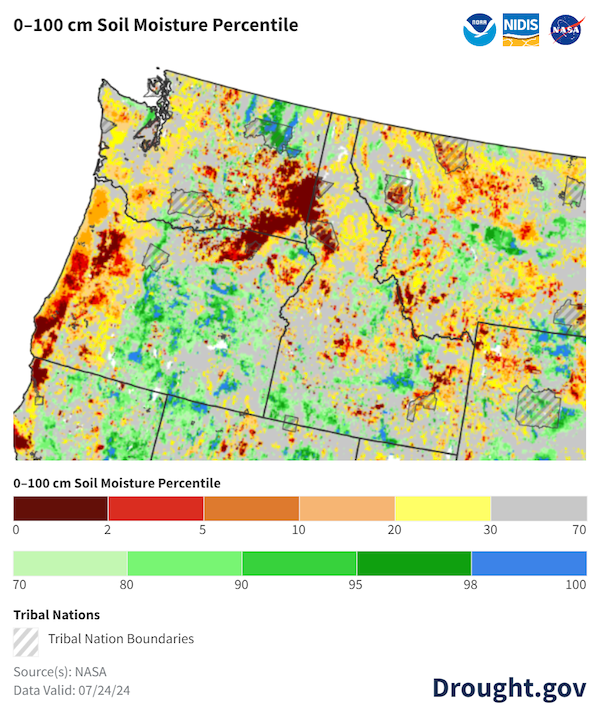 0-100 cm soil moisture across central and eastern Oregon and northern Washington as of July 16, 2024, was in the 70th or greater percentile compared to historical conditions. Soil moisture was much below the 30th percentile across portions of southeastern Washington and in western Oregon.