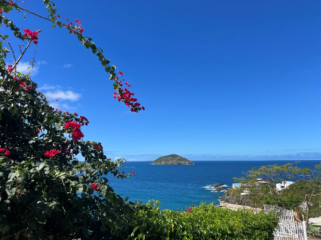  This photo is showing green vegetation on St. Thomas.