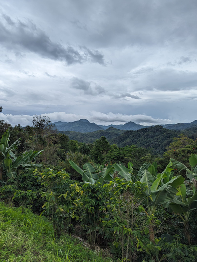  Cloudy conditions on a farm in the west interior mountainous area of Puerto Rico, in the Maricao municipality.