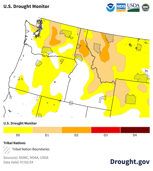 According to the July 2nd U.S. Drought Monitor, severe drought (D2), moderate drought (D1), and abnormally dry conditions (D0) are all present across the Pacific Northwest.