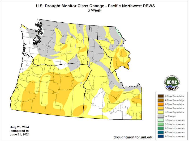 Nearly all of Oregon, central Washington, and southern Idaho have seen a one- to two-class degradation as measured by the U.S. Drought Monitor over the last 6 weeks (since June 11, 2024). Drought improvement was highly restricted. Conditions in most of northern Idaho and western Washington remain unchanged. 