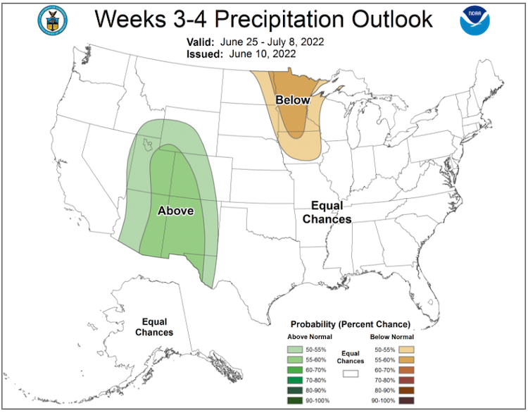 From June 25–July 8, 2022, most of the Northeast region has equal chances of above- or below-normal precipitation.