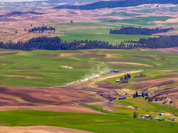 Roads and barns in the green fields of Palouse, Washington. Photo credit: Avik, Shutterstock.