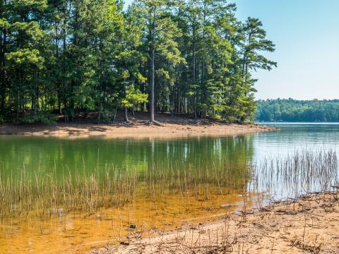 Drought conditions at Lake Lanier in Georgia. Photo credit: Sandra Burm, Shutterstock.