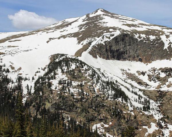 The Rocky Mountains covered in snow and trees