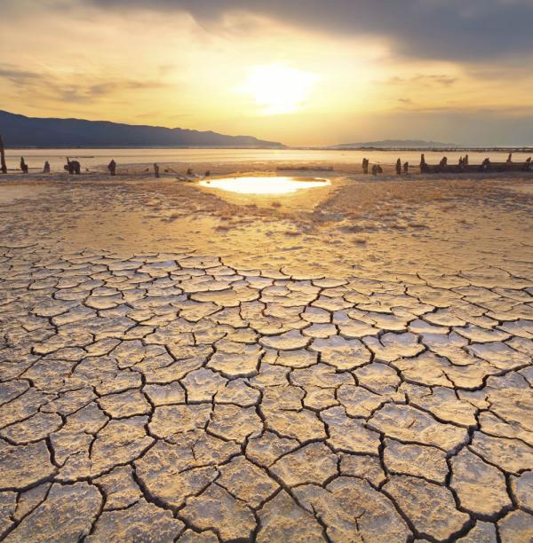 Low water levels and dry, cracked soil due to drought