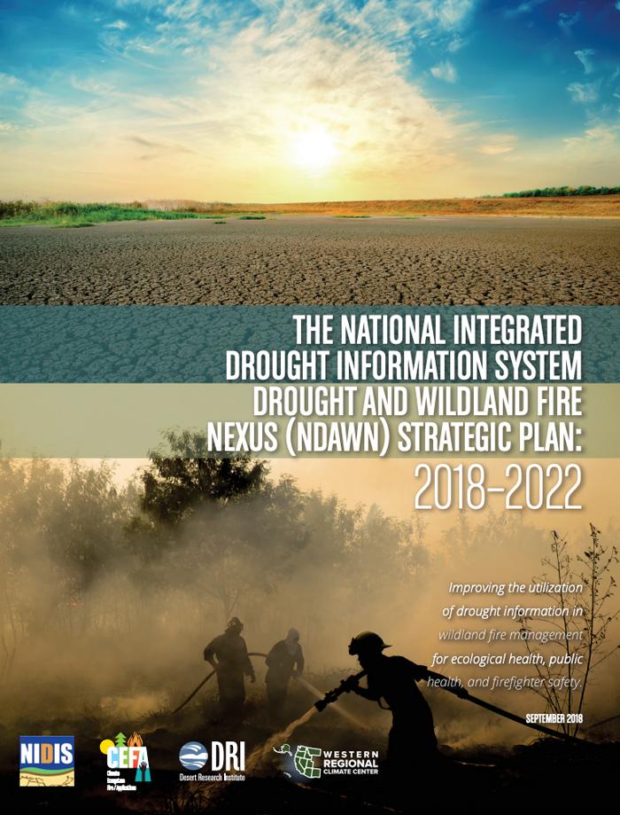 NDAWN Strategic Plan: 2018-2022.