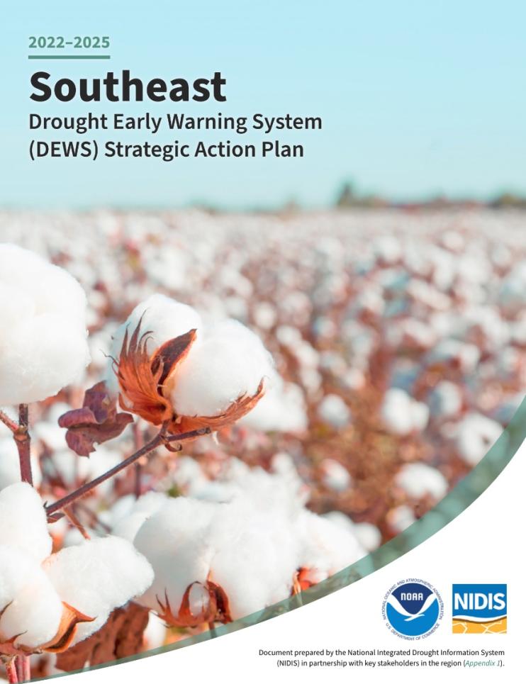 2022–2025 Southeast DEWS Strategic Action Plan