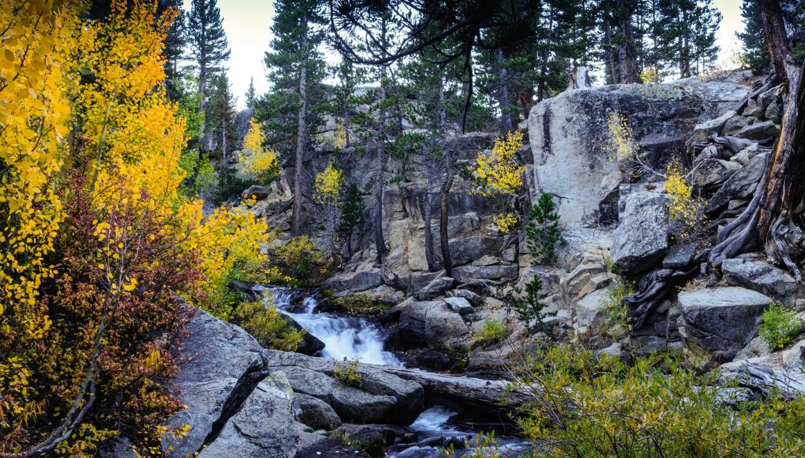 A rocky forest landscape with a flowing stream.