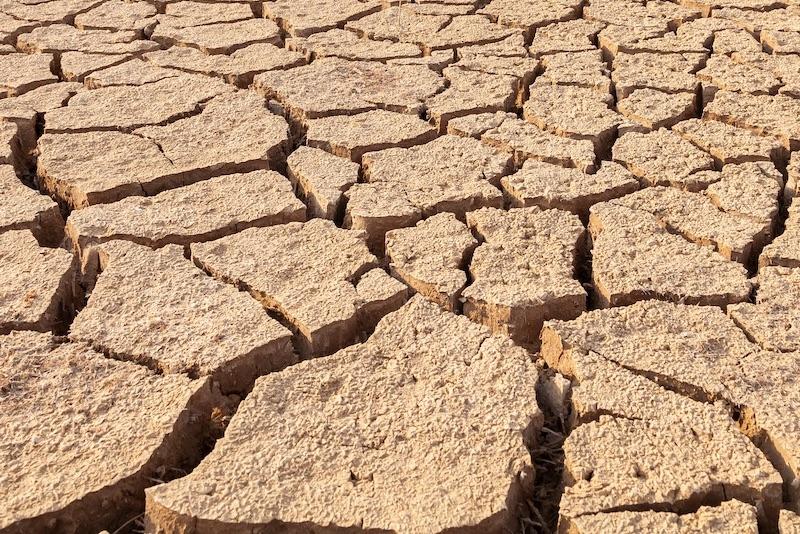 Dry, cracked earth, representing drought.