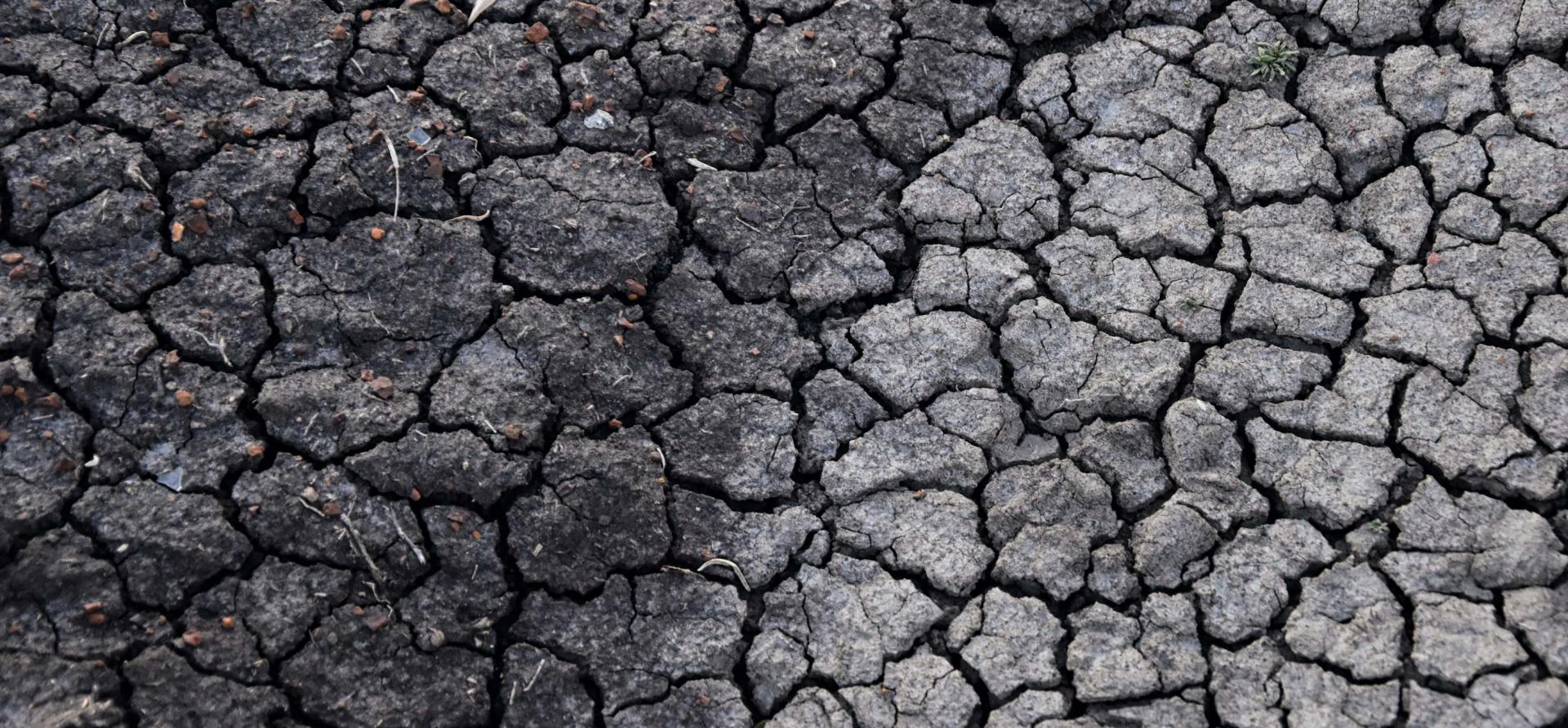 Cracked and dry soil