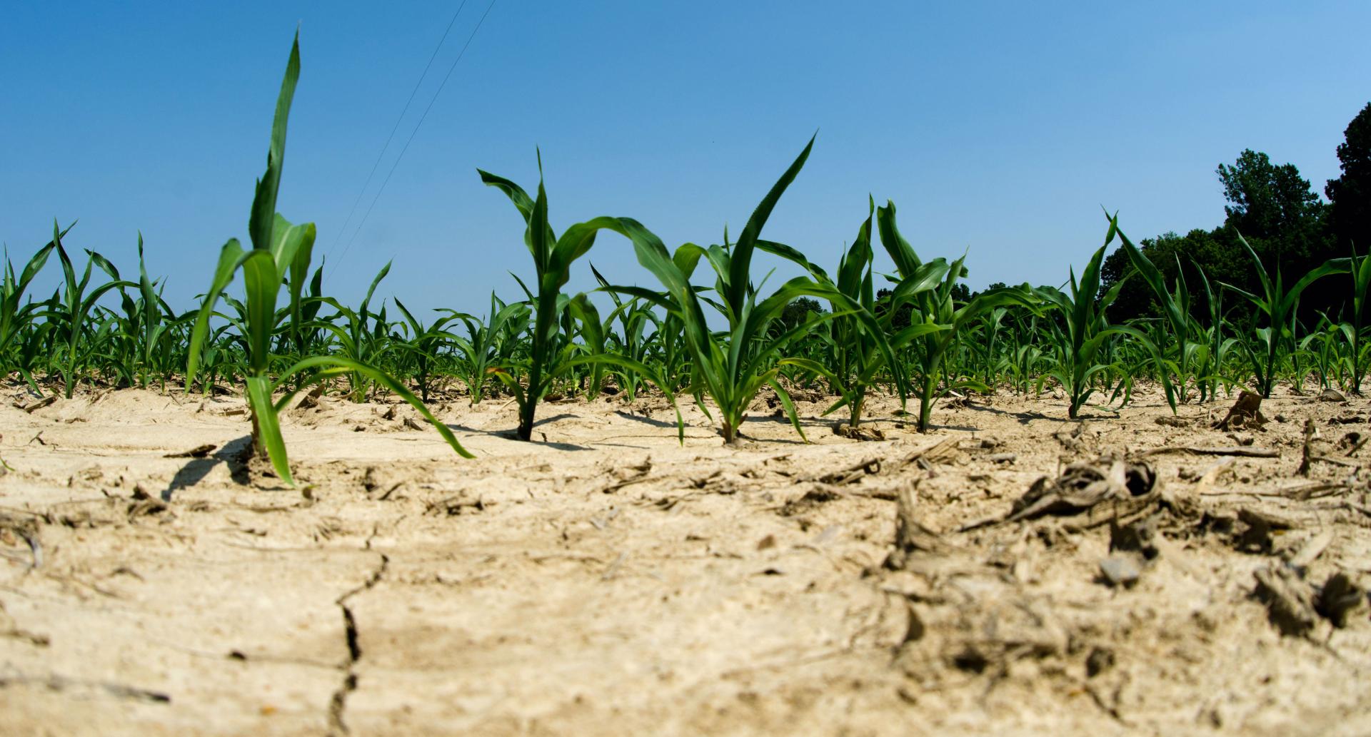 Flash Drought | Drought.gov