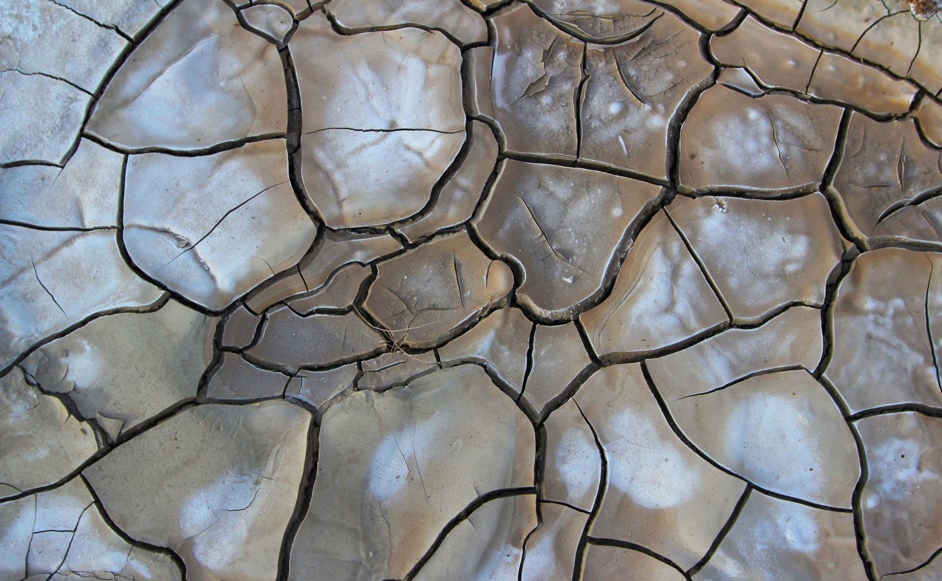 Dry, cracked earth during drought conditions.