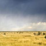 A windmill in a field before a storm in the Southern Plains.