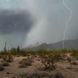 Lightning strikes in the Sonoran Desert in Arizona. Photo credit: Shutterstock.