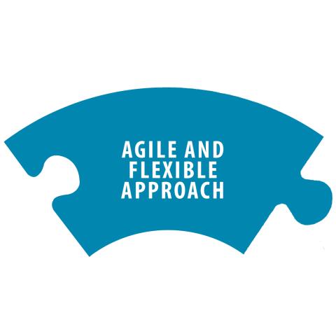 An Agile and Flexible Approach is one of the five characteristics of an IIS.