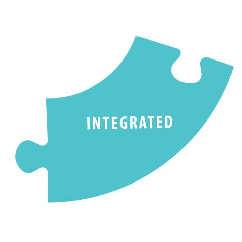 Integrated Information is one of the five characteristics of an IIS.