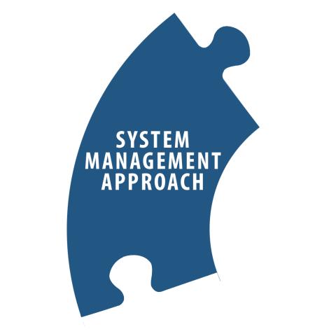 A Systems Management Approach is one of the five characteristics of an IIS.