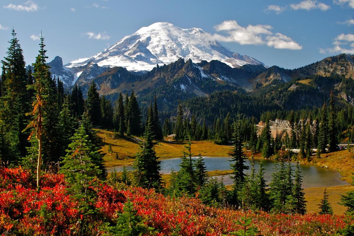 Green trees in front of mountains in the Pacific Northwest