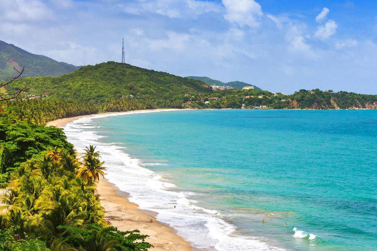 Tropical coastline in Puerto Rico