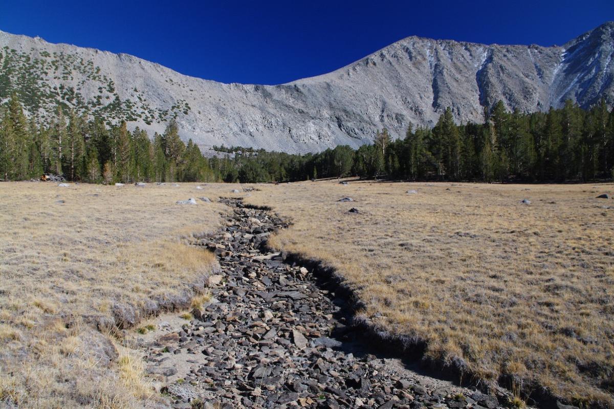 Dry creek bed during a drought in the Sierra Nevada mountains. Photo credit: Ramsey Samara, Shutterstock.